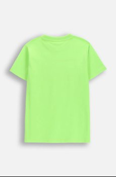 Детская футболка Coccodrillo