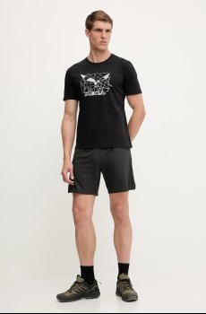 Спортивная футболка Salewa Eagle