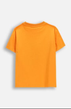 Детская хлопковая футболка Coccodrillo