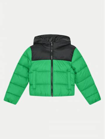 4F Пуховик 4FJWAW24TDJAM462 Зелений Regular Fit 4F Пуховик 4FJWAW24TDJAM462 Зелений Regular Fit