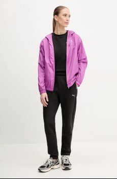 Спортивные штаны Puma