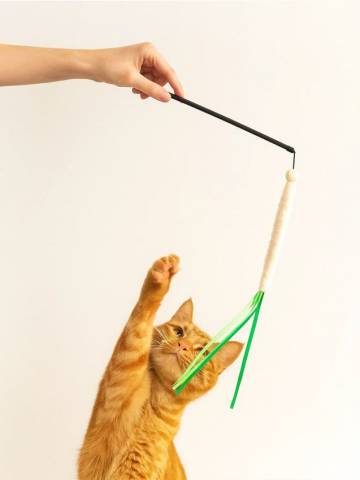 Котяча вудочка - кремовий Котяча вудочка - кремовий