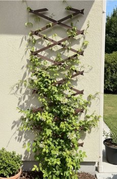 Складана деревʼяна опора для квітів - коричневий