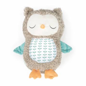 Детская мягкая музыкальная игрушка Ingenuity Snuggle Sounds Nally, с рождения (12477) Детская мягкая музыкальная игрушка Ingenuity Snuggle Sounds Nally, с рождения (12477)