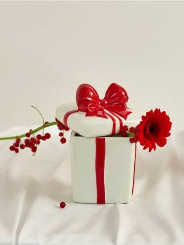 Контейнер для їжі з кришкою - червоний