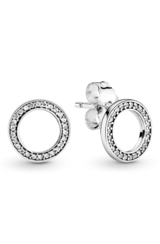 Сережки "Блискуче коло"