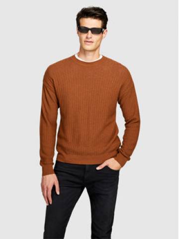 Sisley Светр 1041T102A Коричневий Regular Fit Sisley Светр 1041T102A Коричневий Regular Fit