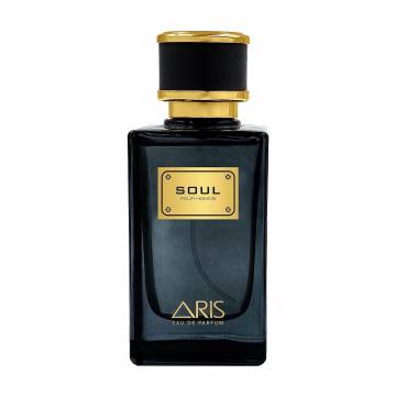 Aris Soul Парфюмированная вода мужская, 100 мл Aris Soul Парфюмированная вода мужская, 100 мл