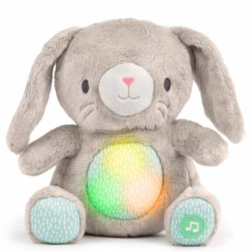 Музична мяка іграшка Ingenuity Heart to hugs Sylvi (12920) Музична мяка іграшка Ingenuity Heart to hugs Sylvi (12920)