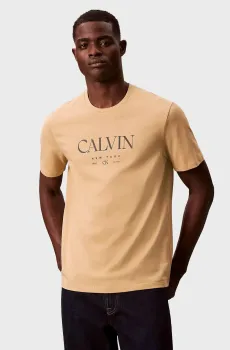 Мужская бежевая футболка GRAPHIC Бежевый S Calvin Klein LV04RE807G