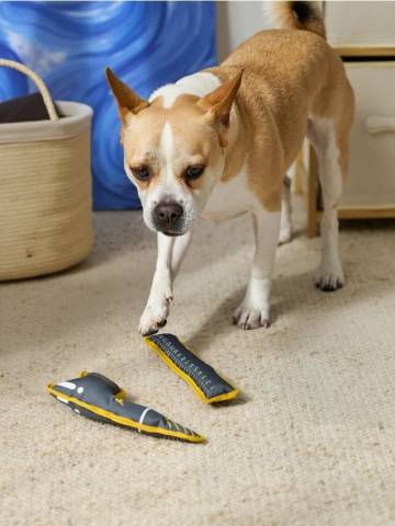 Іграшки для собак 2 шт. - темно-сірий Іграшки для собак 2 шт. - темно-сірий