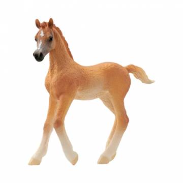 Фігурка Schleich Арабське лоша (13984) Фігурка Schleich Арабське лоша (13984)