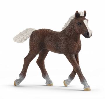 Ігрова фігурка Schleich Шварцвальдське лоша (13899) Ігрова фігурка Schleich Шварцвальдське лоша (13899)