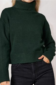 Гладка водолазка basic - жовто-зелений