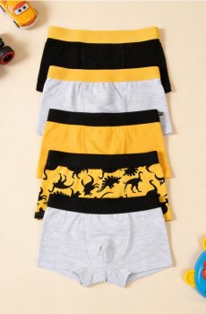 Бавовняні боксерки, набір з 5 штук - різнобарвний