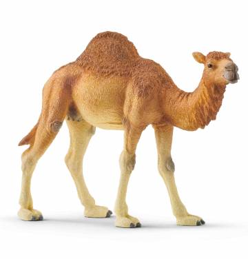 Ігрова фігурка Schleich Дромедар (14832) Ігрова фігурка Schleich Дромедар (14832)