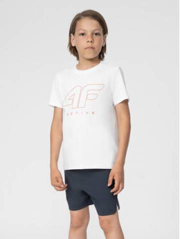 4F Спортивні шорти 4FJSS23TFSHM151 Сірий Regular Fit 4F Спортивні шорти 4FJSS23TFSHM151 Сірий Regular Fit