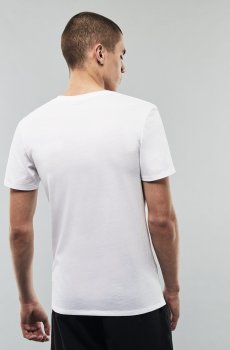 Lacoste футболка чоловіча