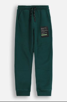 Детские спортивные штаны Coccodrillo