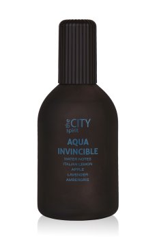 The City Spirit Aqua Invincible Туалетная вода мужская, 115 мл