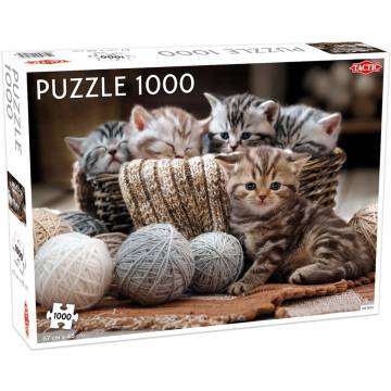 Пазл Tactic Милі кошенята 1000 елементів (56803) Пазл Tactic Милі кошенята 1000 елементів (56803)