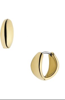 Сережки Fossil