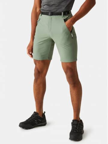 Regatta Спортивні шорти Xert III RMJ233 Зелений Regular Fit Regatta Спортивні шорти Xert III RMJ233 Зелений Regular Fit