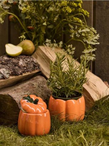 Горщик для квітів - помаранчевий