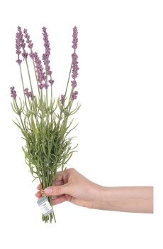 Искусственные цветы Lawenda 10 шт