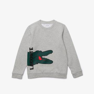 Lacoste толстовка дитяча Lacoste толстовка дитяча