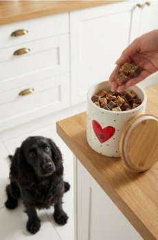 Керамічний контейнер для корму для тварини - білий