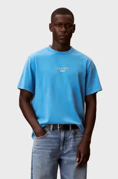 Мужская голубая футболка ACID WASH GRAPHIC Голубой L Calvin Klein Jeans LV04RB824G
