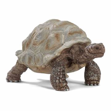 Ігрова фігурка Schleich Wild life Гігантська черепаха (14824) Ігрова фігурка Schleich Wild life Гігантська черепаха (14824)