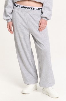 Cropp - Спортивні брюки-джогери - light grey
