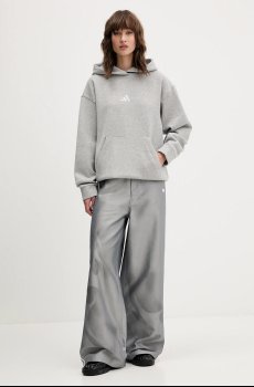 Джинсы adidas Originals Baggy Shine Dnm