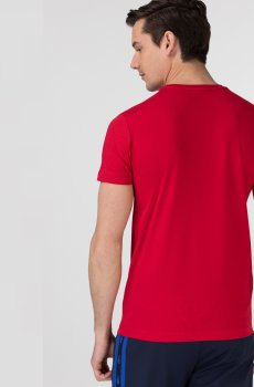 Lacoste футболка чоловіча SPORT