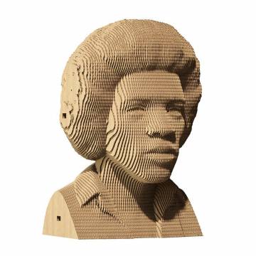 3D пазл Cartonic Jimi Hendrix (CARTMJMH) 3D пазл Cartonic Jimi Hendrix (CARTMJMH)