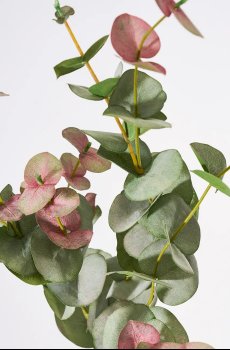 Искусственная ветвь House Doctor HDEucalyptus 25 x 90 cm