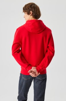 Lacoste толстовка чоловіча