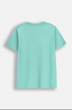 Детская хлопковая футболка Coccodrillo