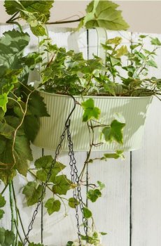 Кашпо для підвішування на перила - блідо-зелений