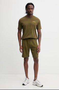 Хлопковая футболка Napapijri FLINT