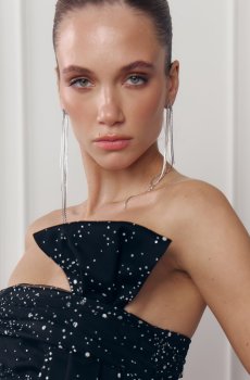 Сріблясті довгі сережки