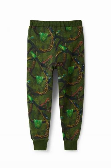 Детские спортивные штаны Desigual цвет зелёный с узором Детские спортивные штаны Desigual цвет зелёный с узором