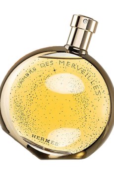 Hermes LAmbre Des Merveilles Парфюмированная вода унисекс, 100 мл