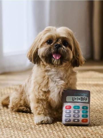 Іграшка для собак - різнобарвний Іграшка для собак - різнобарвний