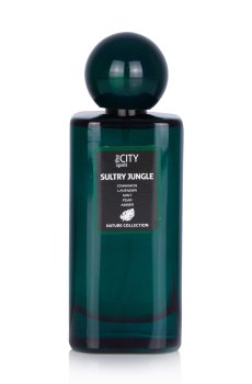 The City Spirit Nature Sultry Jungle Туалетная вода мужская, 100 мл