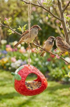 Годівниця для птахів у формі полуниці - червоний
