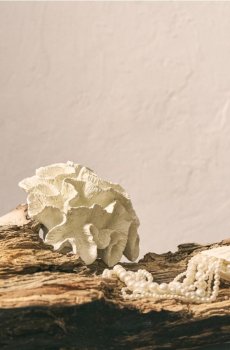 Настільна декорація у формі корала - білий