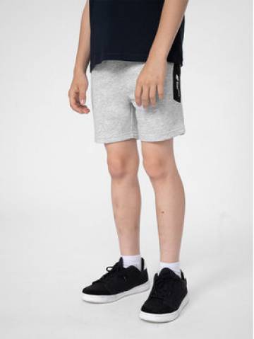4F Спортивні шорти 4FJSS23TSHOM049 Сірий Regular Fit 4F Спортивні шорти 4FJSS23TSHOM049 Сірий Regular Fit